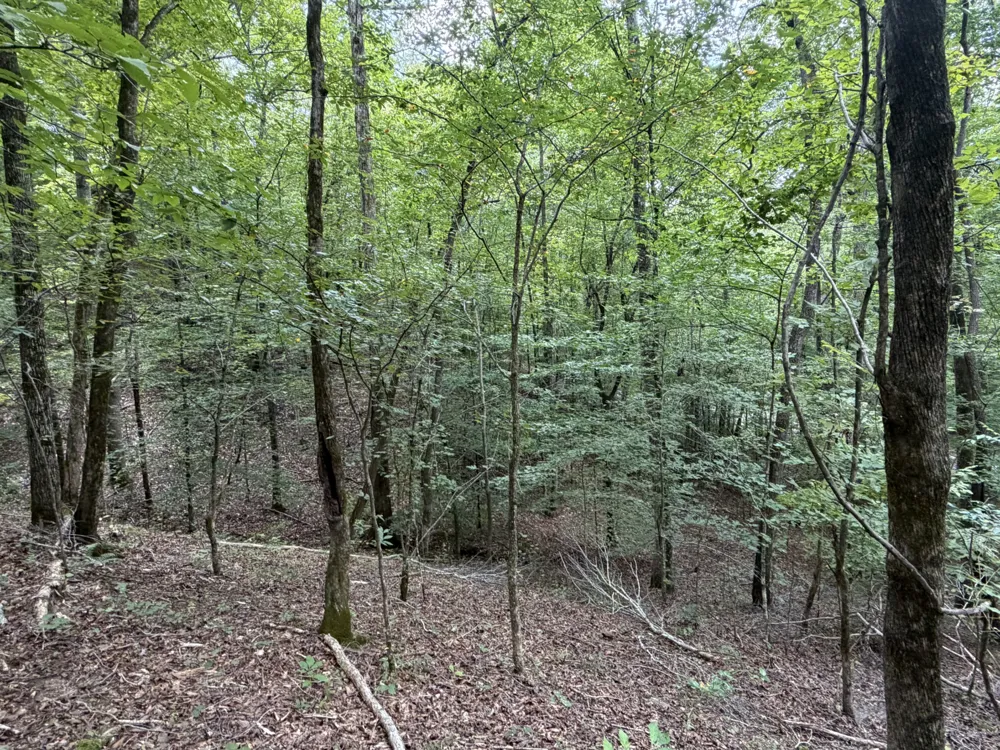 0 Deer Creek Rd Linden, TN 37096