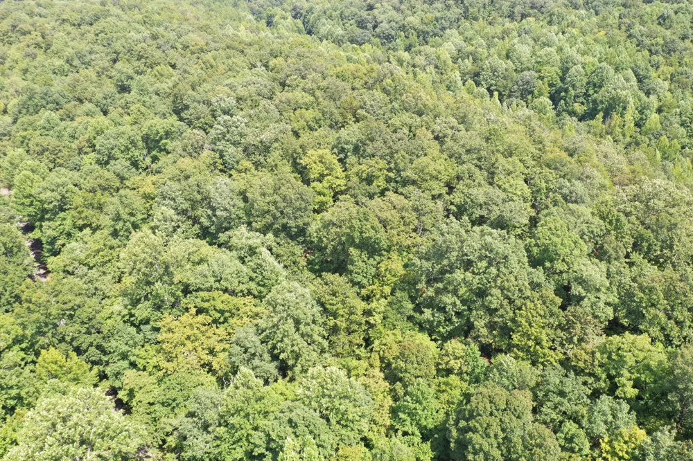 0 Deer Creek Rd Linden, TN 37096