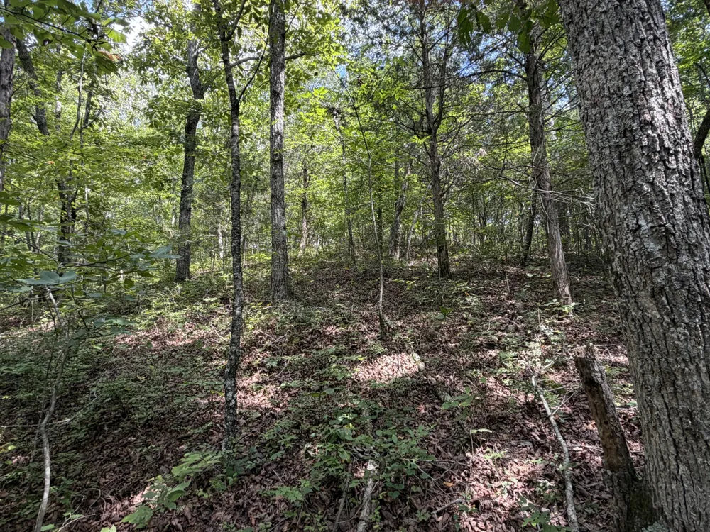 0 Deer Creek Rd Linden, TN 37096