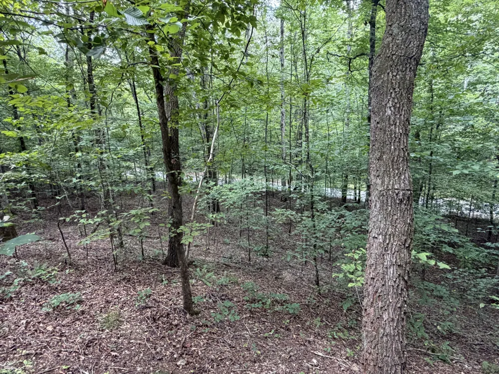 0 Deer Creek Rd Linden, TN 37096