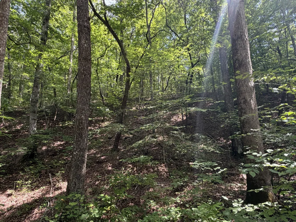 0 Deer Creek Rd Linden, TN 37096