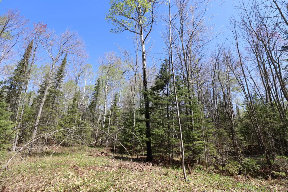23540 State Highway 13 Cornucopia, WI 54827