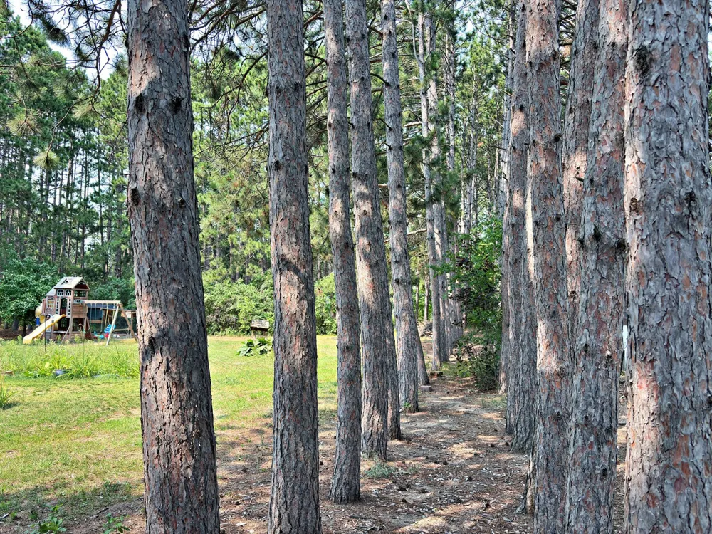 16023 Discovery Circle Park Rapids, MN 56470