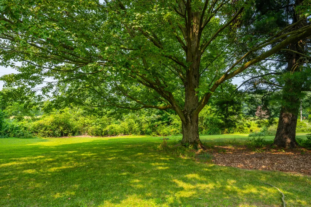 9254 Garr Road Berrien Springs, MI 49103