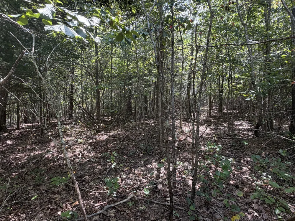 0 Louise Ln Linden, TN 37096