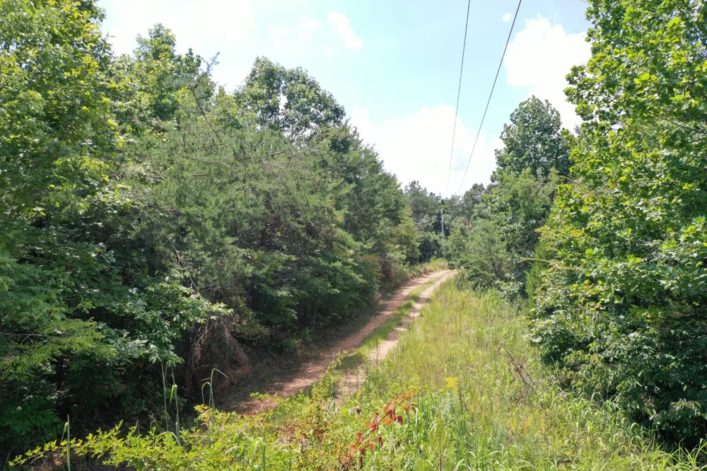 0 Louise Ln Linden, TN 37096