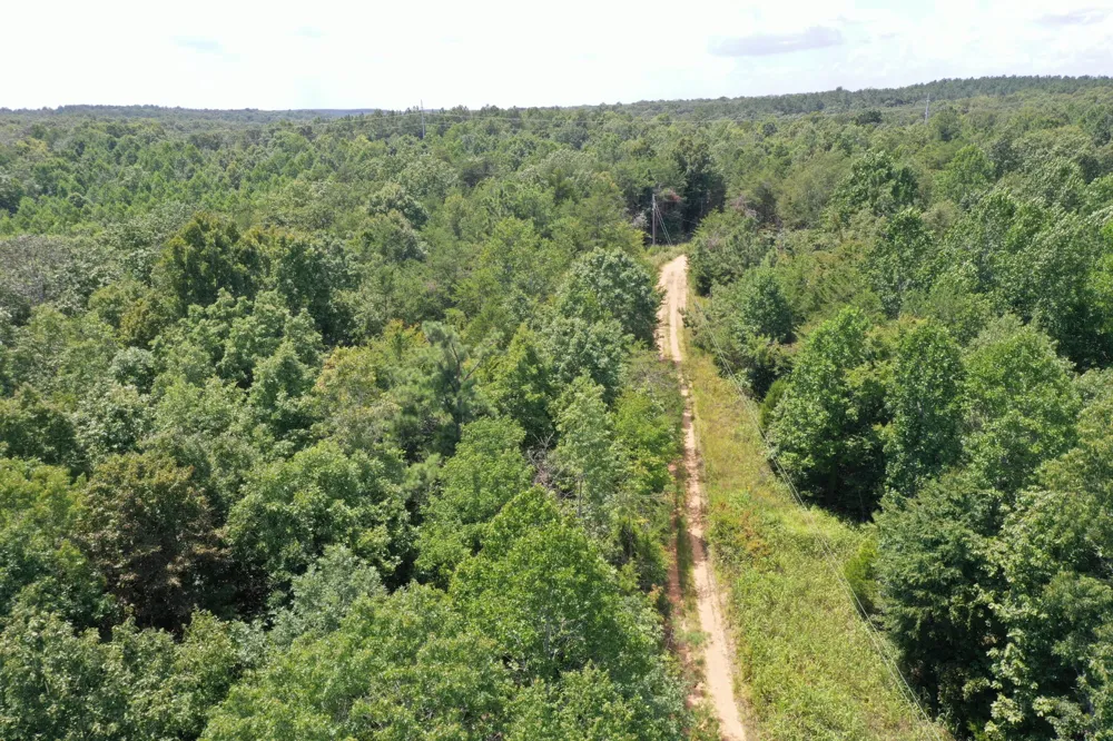 0 Louise Ln Linden, TN 37096