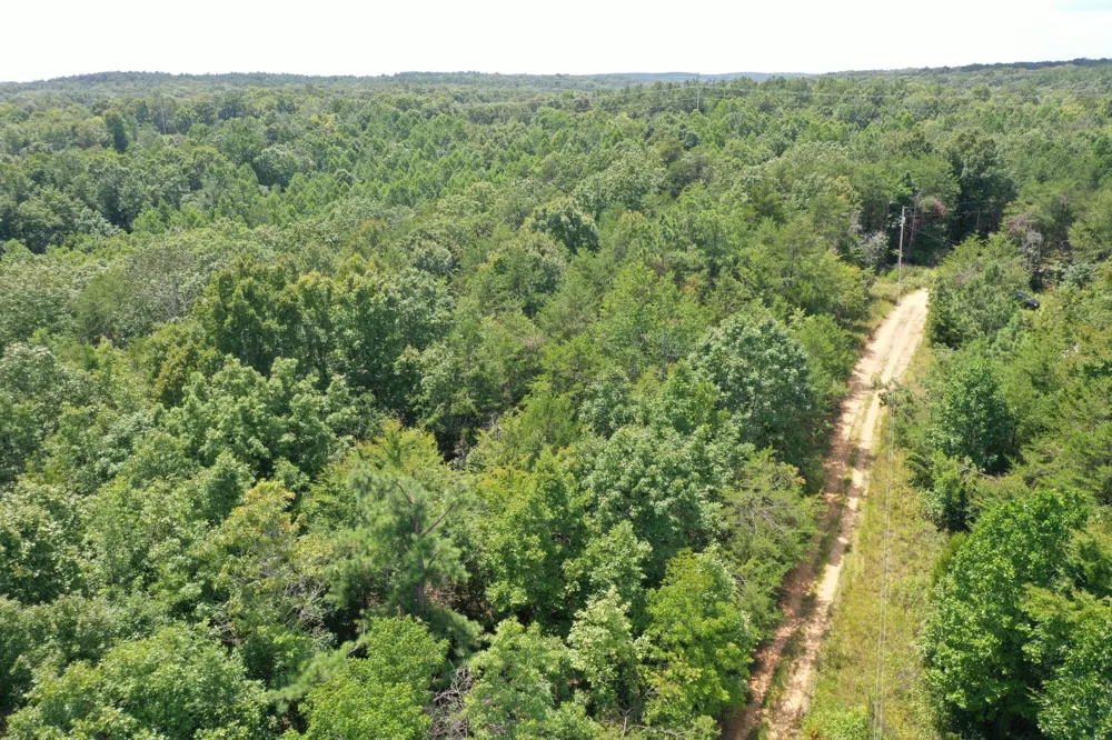 0 Louise Ln Linden, TN 37096