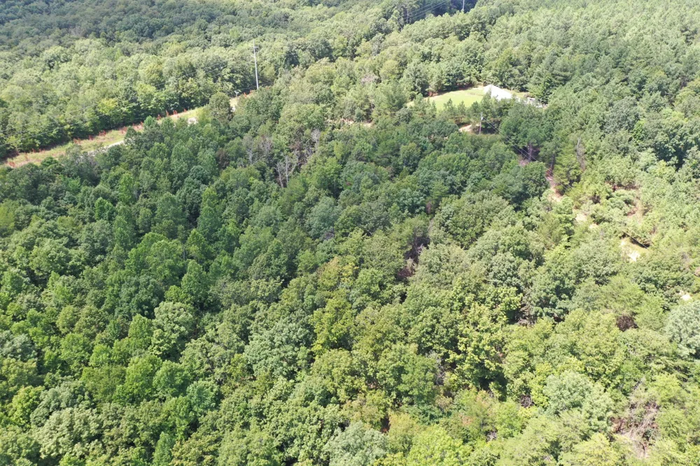 0 Louise Ln Linden, TN 37096