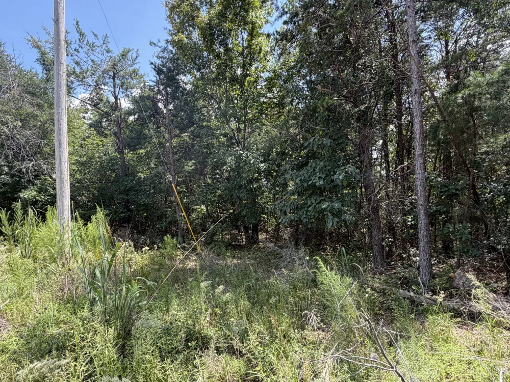 0 Louise Ln Linden, TN 37096