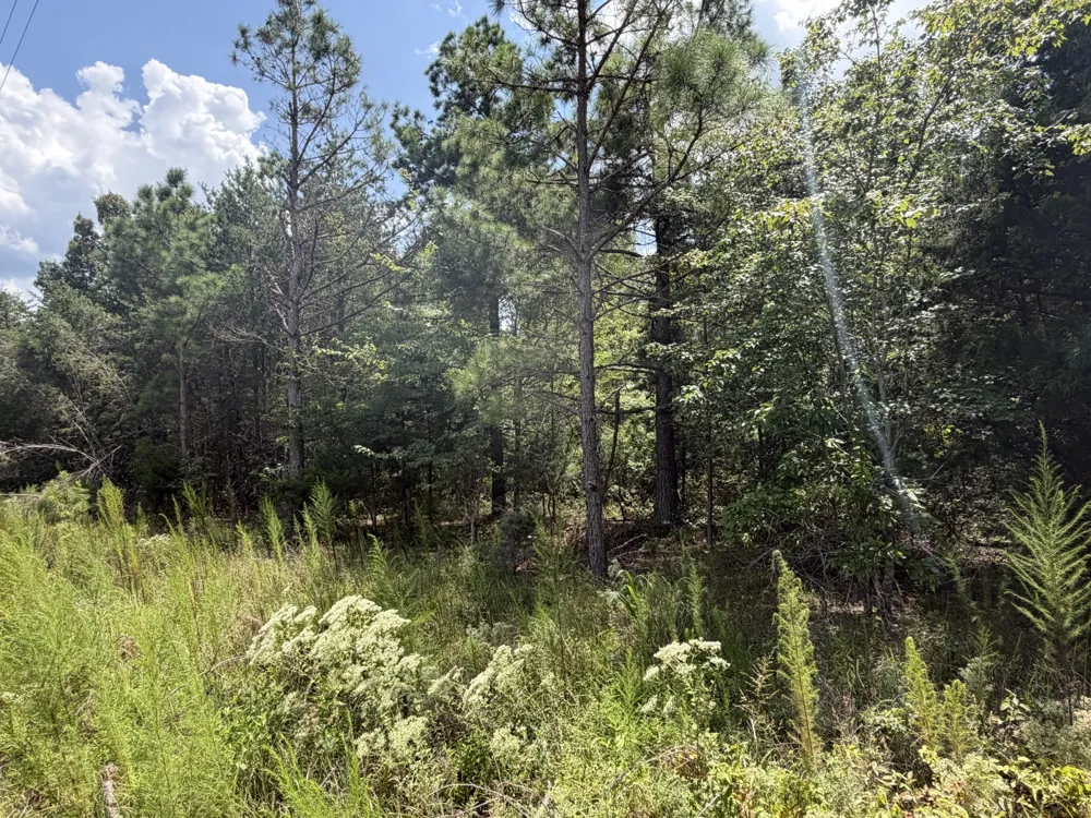 0 Louise Ln Linden, TN 37096