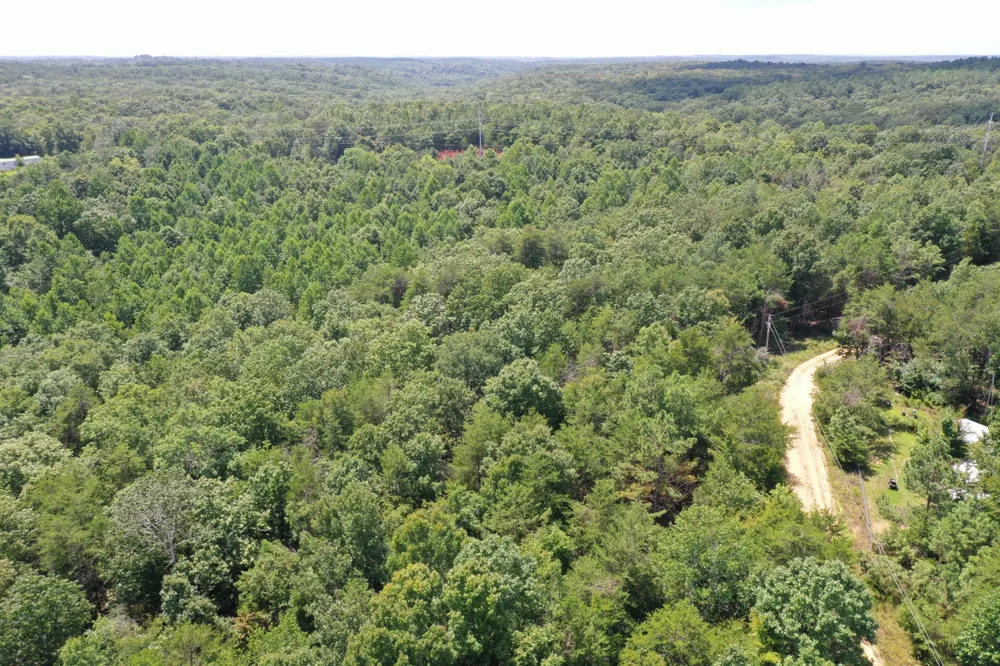 0 Louise Ln Linden, TN 37096