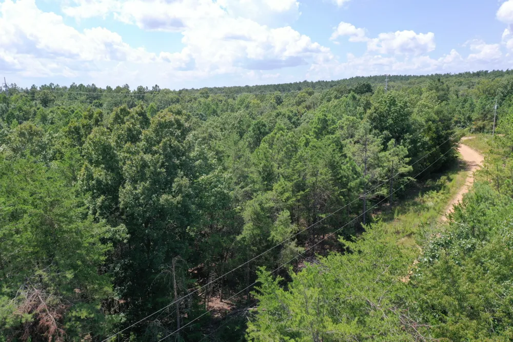 0 Louise Ln Linden, TN 37096