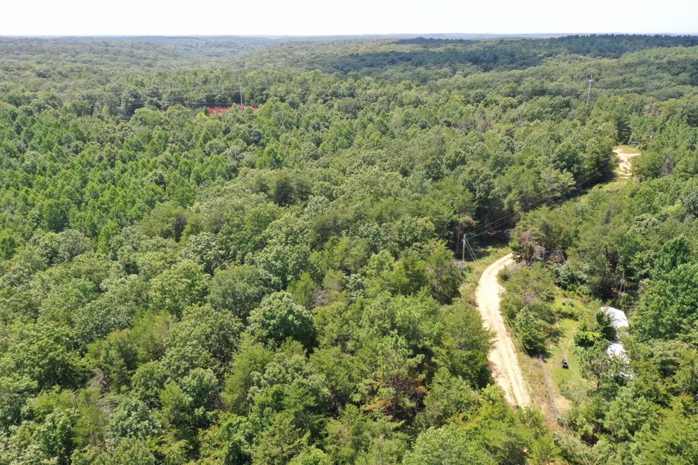 0 Louise Ln Linden, TN 37096
