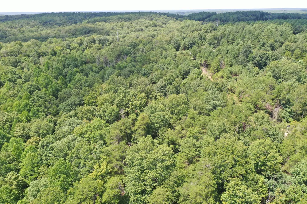 0 Louise Ln Linden, TN 37096