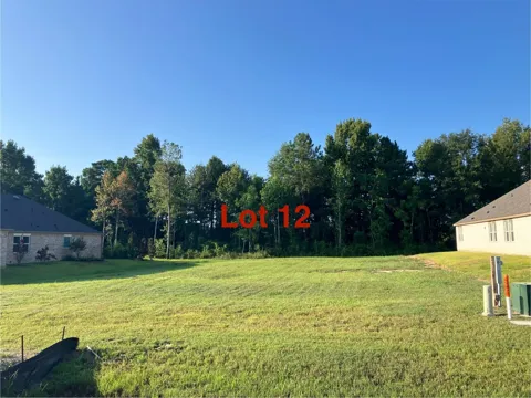 1011 Tarkington Timbers Drive