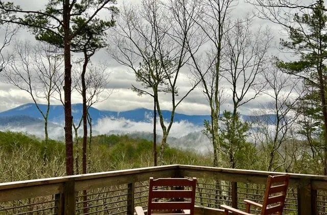 254 Leatherwood Mountain Road Ellijay, GA 30540