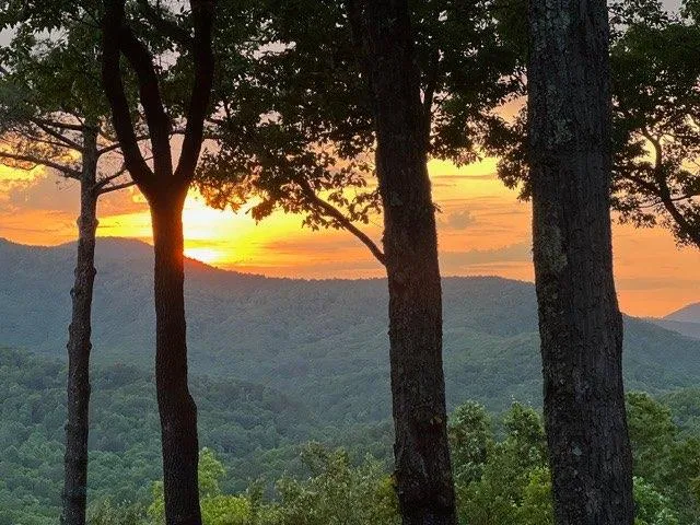 254 Leatherwood Mountain Road Ellijay, GA 30540