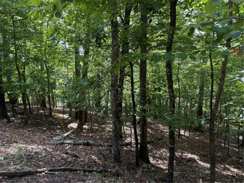 117 Tulip Tree Court
