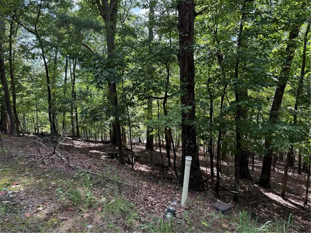 117 Tulip Tree Court Waleska, GA 30183