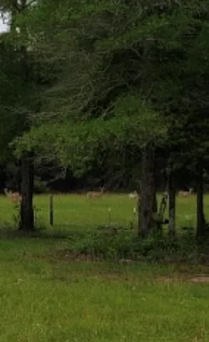 5670 Fm 770 Road Kountze, TX 77625