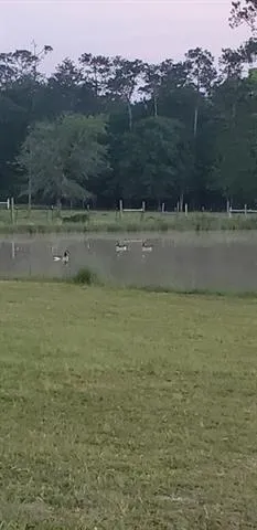 5670 Fm 770 Road Kountze, TX 77625