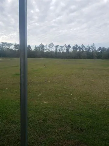 5670 Fm 770 Road Kountze, TX 77625