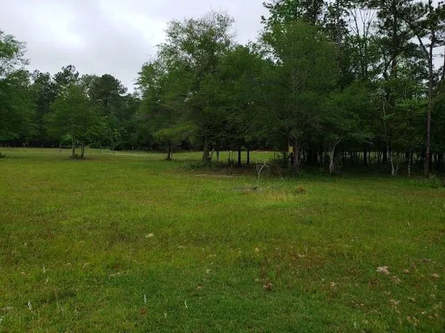 5670 Fm 770 Road Kountze, TX 77625