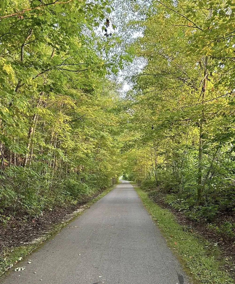 9390 S Lake Leelanau Drive Elmwood Charter Township, MI 49684