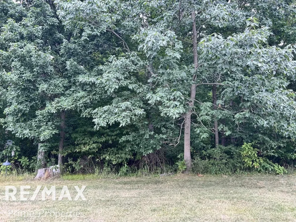 1014 Timber Ridge Court Mundy Township, MI 48439