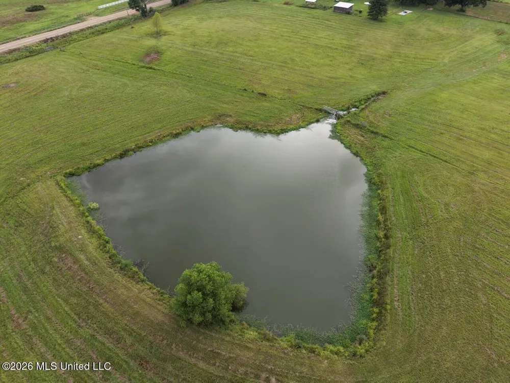 8007 Old Highway 24 Centreville, MS 39631