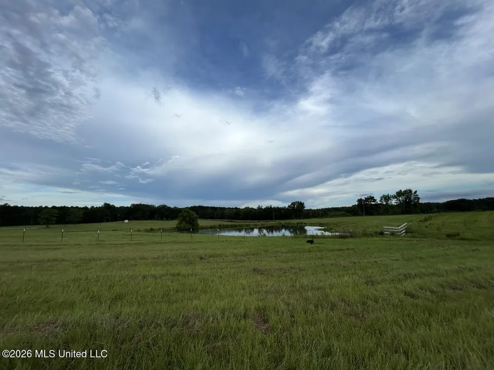 8007 Old Highway 24 Centreville, MS 39631