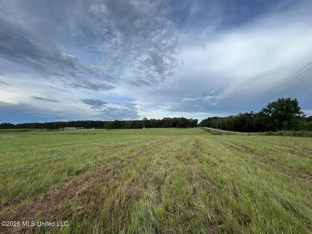 8007 Old Highway 24 Centreville, MS 39631