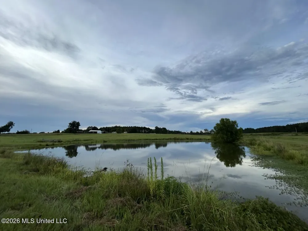 8007 Old Highway 24 Centreville, MS 39631