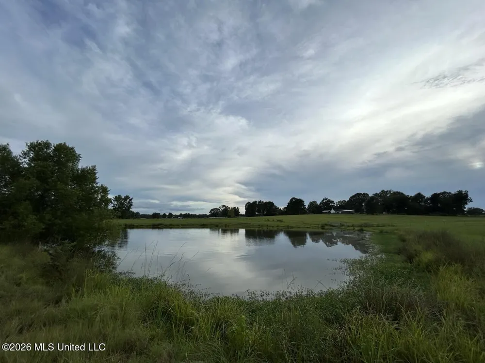 8007 Old Highway 24 Centreville, MS 39631