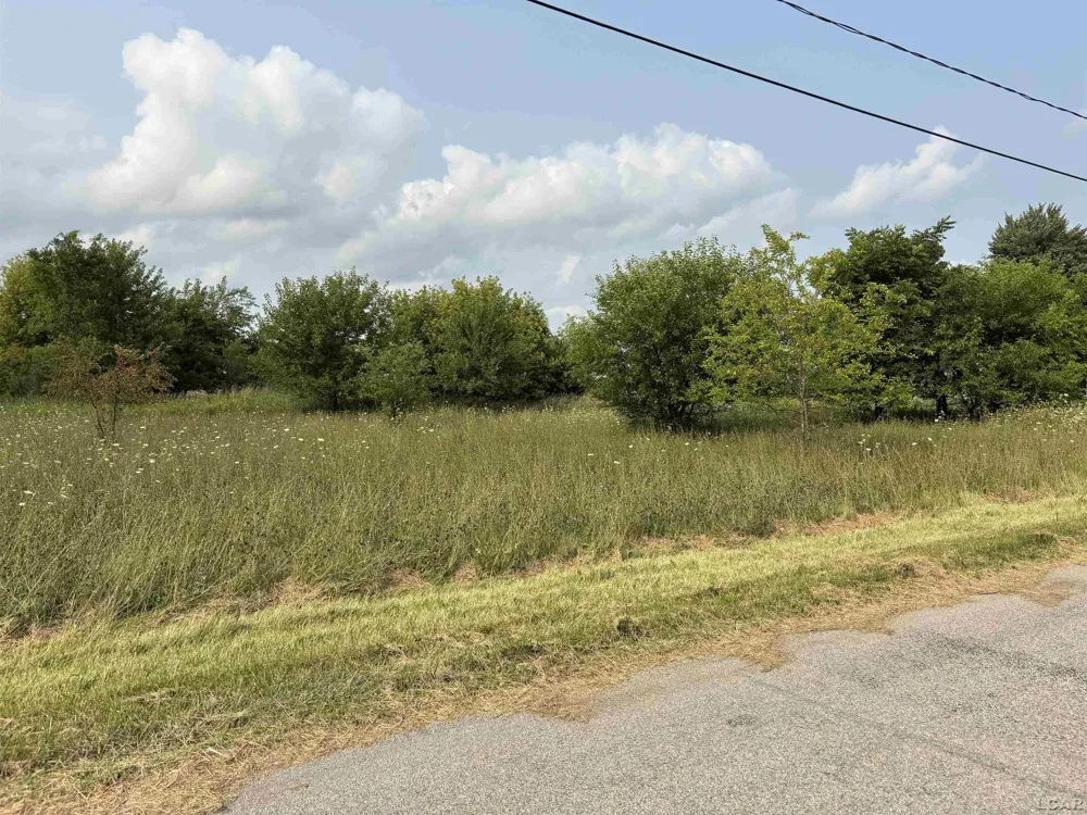 1370 Ogden Street Fairfield Township, MI 49248