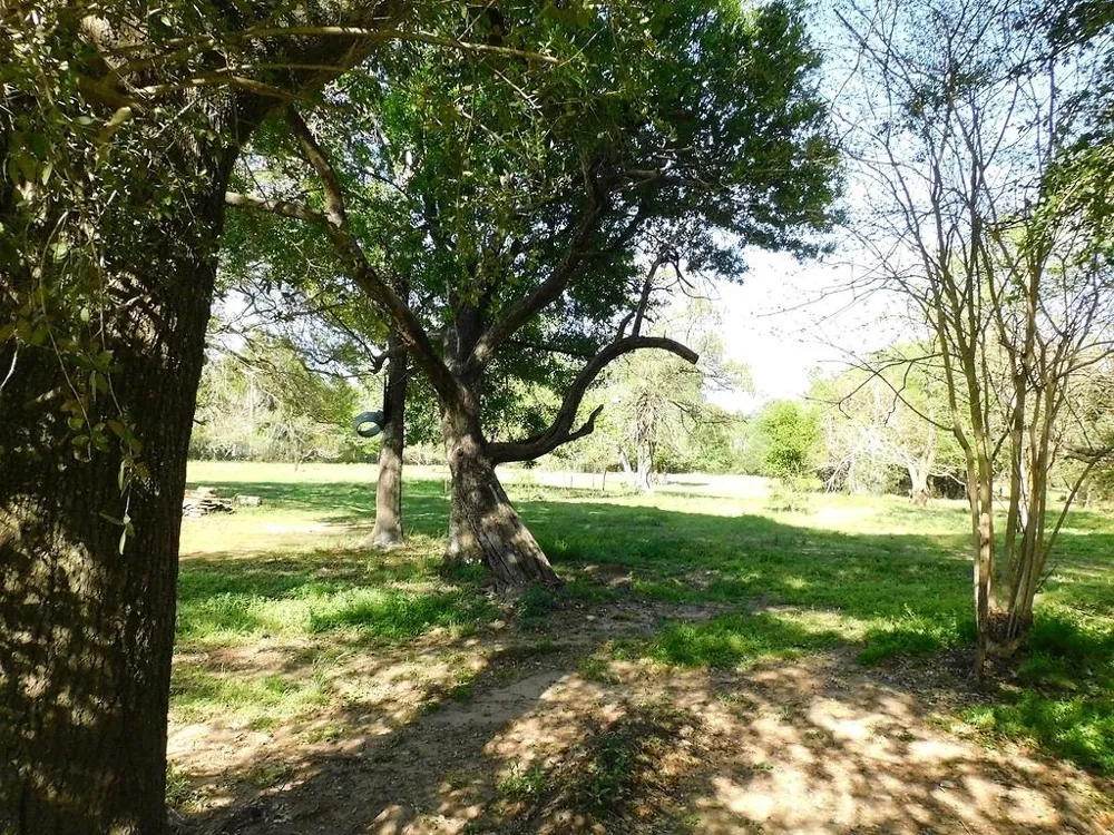 1215 Meyer Street Sealy, TX 77474