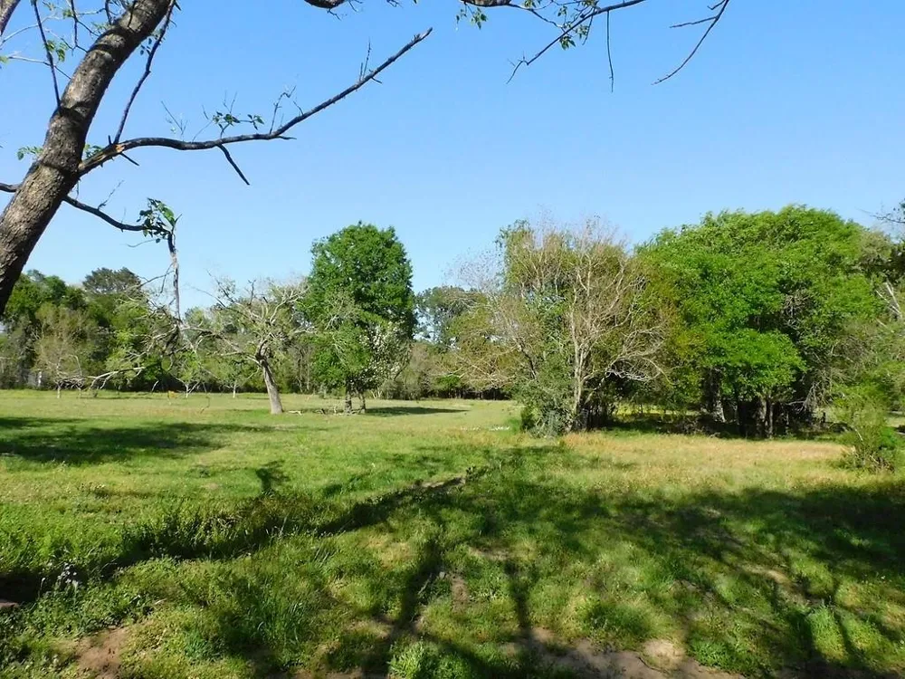 1215 Meyer Street Sealy, TX 77474
