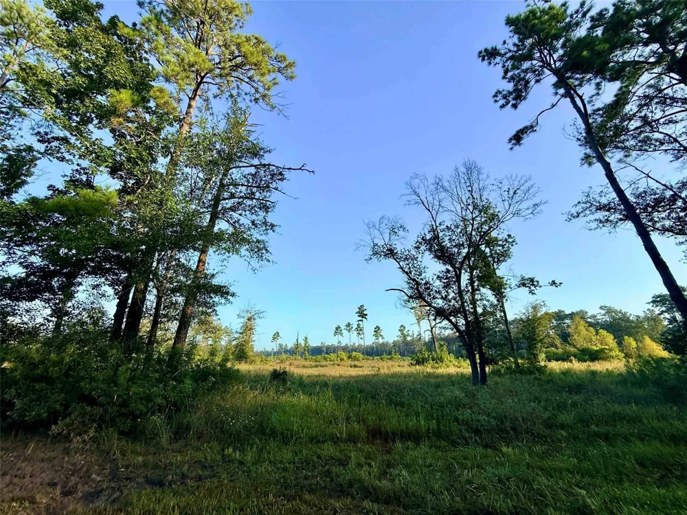 Fm 1003 Kountze, TX 77625