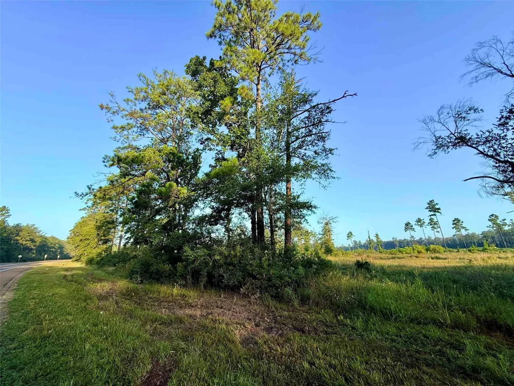 Fm 1003 Kountze, TX 77625