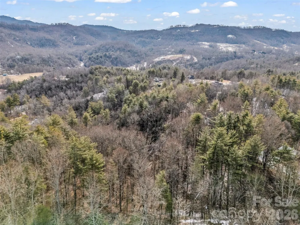 88 Summer Shade Court Hendersonville, NC 28792
