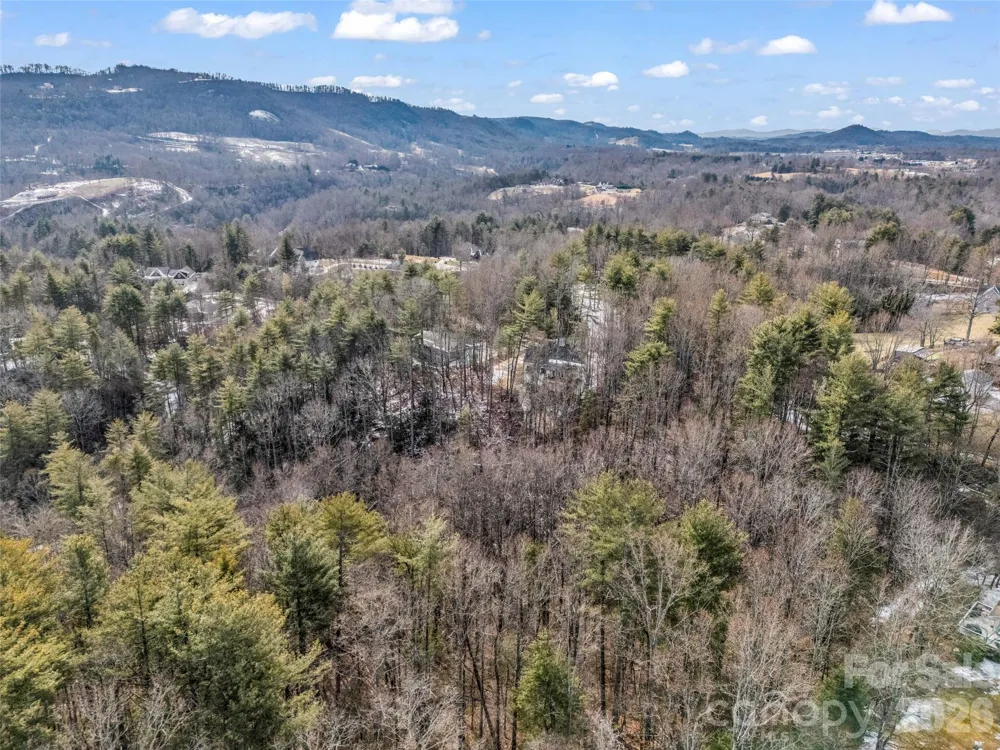 88 Summer Shade Court Hendersonville, NC 28792
