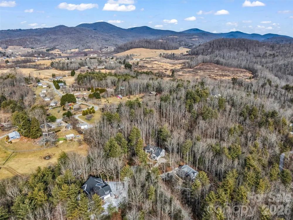 88 Summer Shade Court Hendersonville, NC 28792