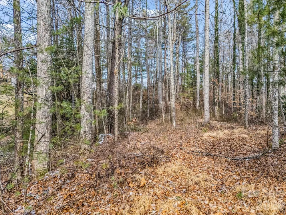 88 Summer Shade Court Hendersonville, NC 28792