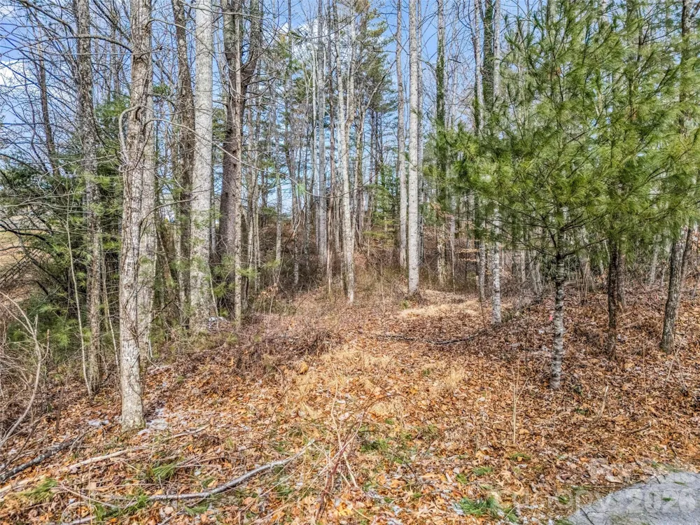 88 Summer Shade Court Hendersonville, NC 28792