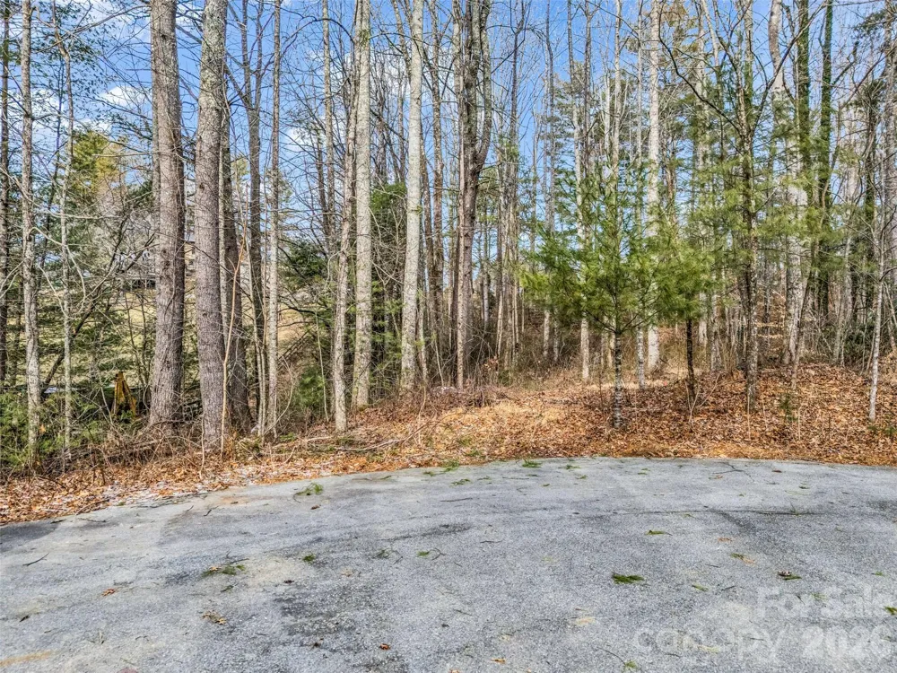 88 Summer Shade Court Hendersonville, NC 28792