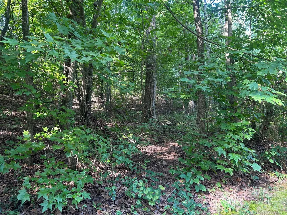 9730 Worley Drive #9 Charlotte, NC 28215
