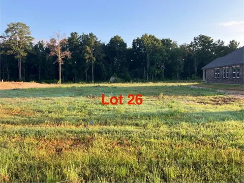 1070 Tarkington Timbers Drive