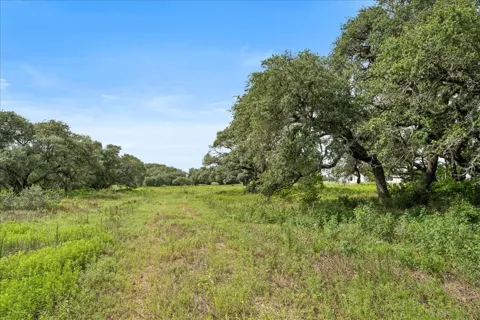 Pintail Lane