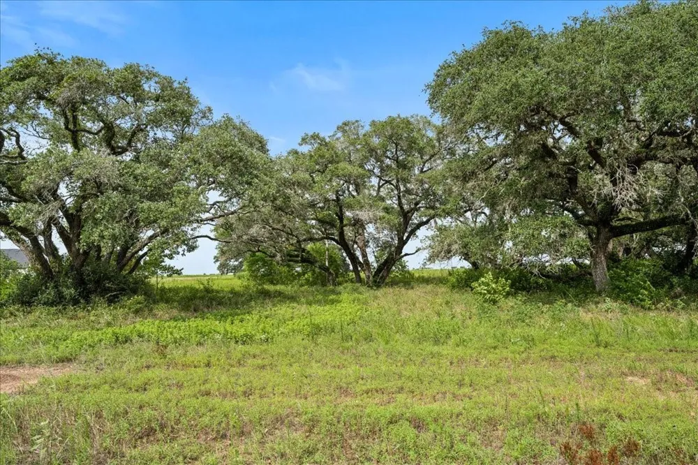 Pintail Lane Columbus, TX 78934